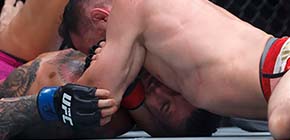 y merab ufc 316 small